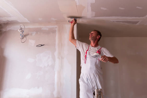 Best Drywall Installation  in New Stanton, PA